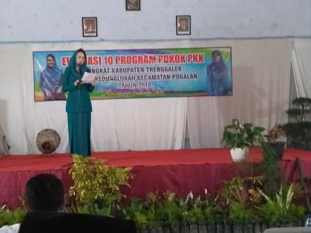 10 EVALUASI 10 PROGRAM POKOK PKK